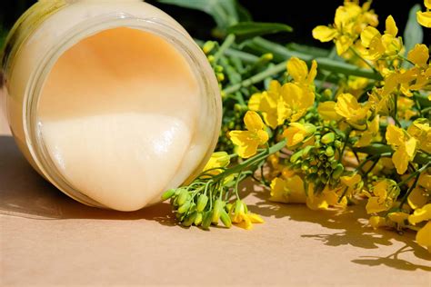 A Repceméz: Krémes Kényeztetés és a Tavasz Bősége a Kanalon